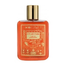 Pan Drwal Steam Punk Hero parfumovaná voda pánska 100 ml