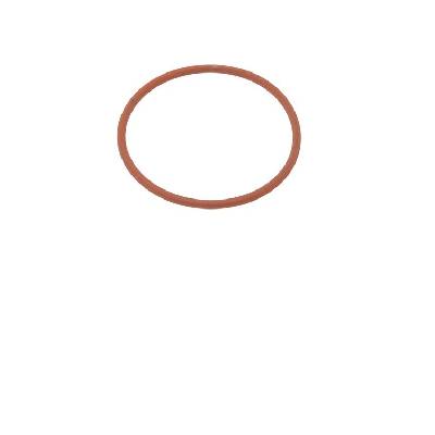 Уплътнение разпръсквач Lelit