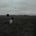 The Search - NF CD