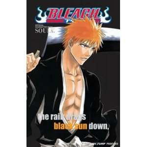 Bleach SOULs. Official Character Book (ISBN: 9781421520537)