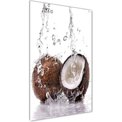 Vertikálny foto obraz sklenený Kokos 50x100 cm