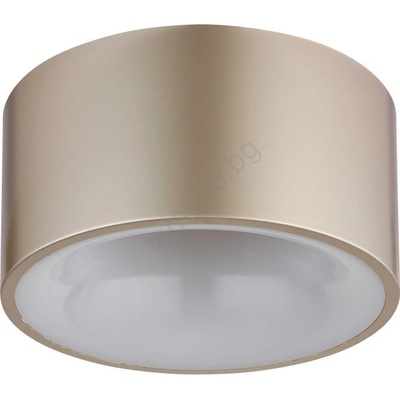 GLOBO RAYMOND 56964G