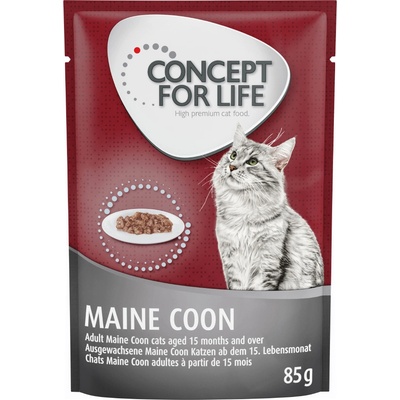 Concept for Life Adult Maine Coon ragú 12 x 85 g
