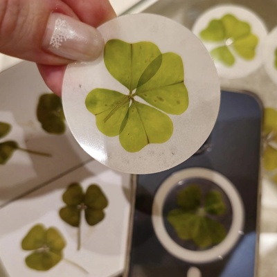 Pravý čtyřlístek originální živá samolepka pro štěstí na apple iphone