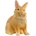 Schleich Фигура Schleich Farm World - Зайче с лъвска глава (13974-78940)