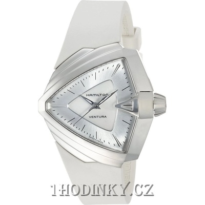 Hamilton H24251391