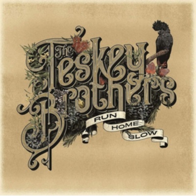 TESKEY BROTHERS - RUN HOME SLOW CD