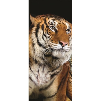 ForWall Fototapeta na dvere Tigre samolepiace 91 x 211 cm