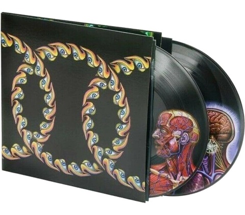 TOOL: LATERALUS LP
