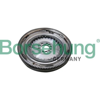 Zotrvačník Borsehung B10918 B10918