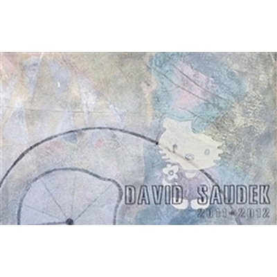 David Saudek 2011 2012