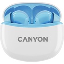 Canyon TWS-5