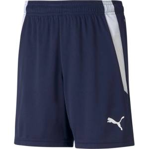 Puma teamwear Къси панталони teamLIGA Jr