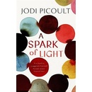A Spark of Light
