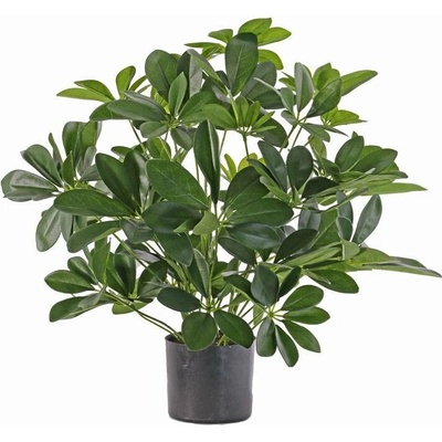 Umělá rostlina Schefflera keřík v květináči, 50cm