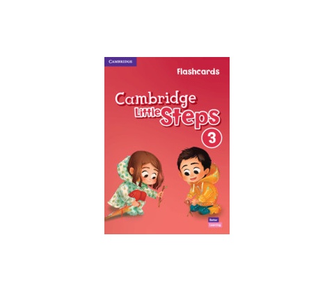 Cambridge Little Steps Level 3 Flashcards