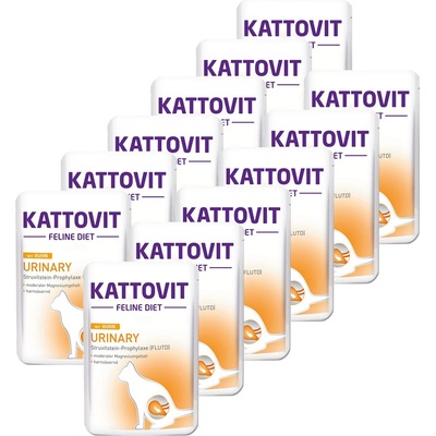KATTOVIT Urinary паста пиле 12 x 85 г