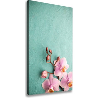 Vertikálny foto obraz na plátne Ružová orchidea 50x100 cm