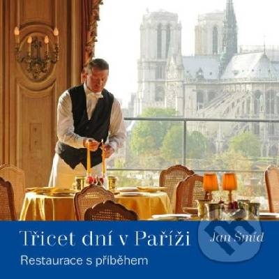 Třicet dní v Paříži - Šmíd Jan