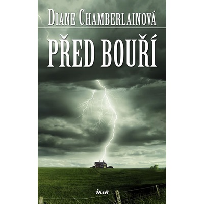 Před bouří - Chamberlainová Diane