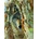 SunsOut - Puzzle Wolf Encounter 500 XXL - 500 piese