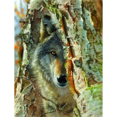 SunsOut - Puzzle Wolf Encounter 500 XXL - 500 piese