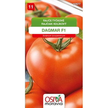 Rajče tyčkové Dagmar F1 0,15 g