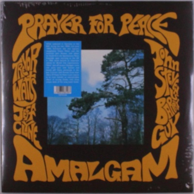 AMALGAM - PRAYER FOR PEACE LP