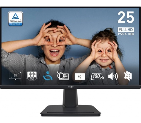 MSI PRO MP251