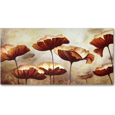 Foto obraz akrylové sklo Maky 100x50 cm