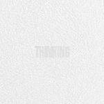 Daniel Shopping s. r. o ZICO: Thinking - CD (038603)