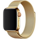 Eternico Elegance Milanese na Apple Watch 38 mm/40 mm/41 mm gold AET-AWMNS-go-38