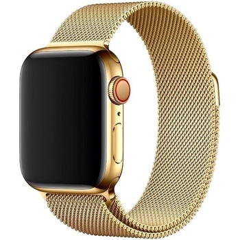 Eternico Elegance Milanese na Apple Watch 38 mm/40 mm/41 mm gold AET-AWMNS-go-38