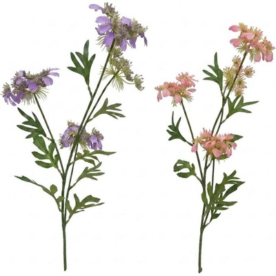 KS SCABIOSA MIX/2F 81CM
