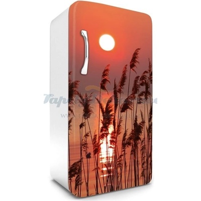 Dimex FR120-027 Samolepící fototapeta na lednice Reed rozměry 65 x 120 cm