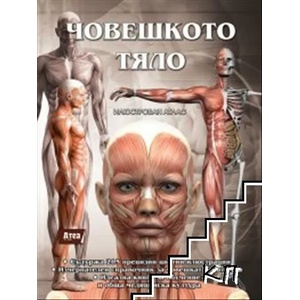 Човешкото тяло (2019)
