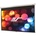 Elite Screens M120XWH2-E24