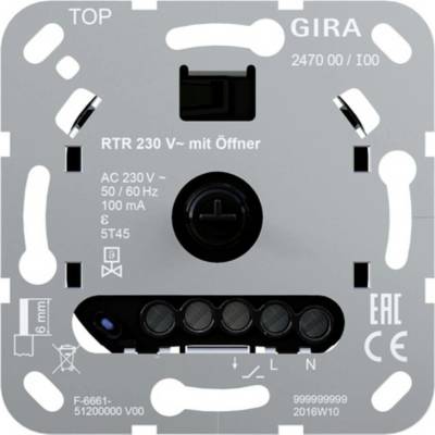 GIRA 247000
