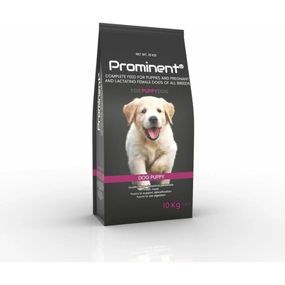 Prominent dog Puppy 10 kg