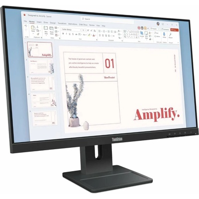 Lenovo ThinkVision E24-40