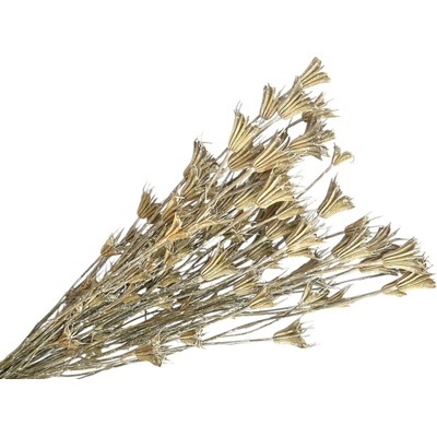 Sušené kvety Černuška - Nigella orientalis 100g - vintage zabielená