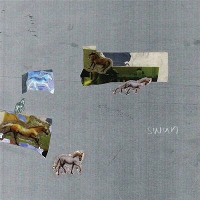 Fazed On A Pony - Swan LP