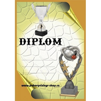 VIZINGR Pétanque diplom A4 č.16