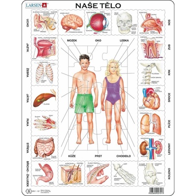 Larsen vzdelávacie Naše telo 35 dielov