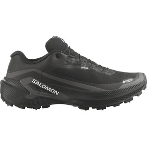 Salomon Маратонки Salomon Genesis 2 GTX Spike Trail running shoes - Black / Black / White - размер 40 2/3 (EU) (022-1624-0118)