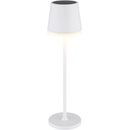 Globo 36637W