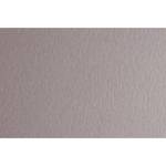 Fabriano Картон Colore, 70 x 100 cm, 140 g/m2, № 222, светлосив (43303222/100_PERLA)