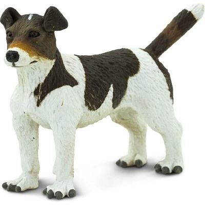 Safari Jack Russel teriér