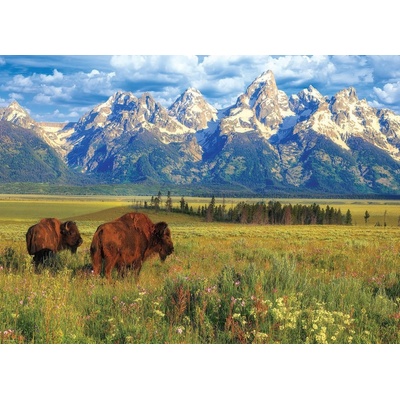 EUROGRAPHICS Národní park Grand Teton 1000 dílků