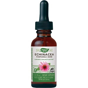 Image 1 of Nature's Way Echinacea 30 ml [30 мл]